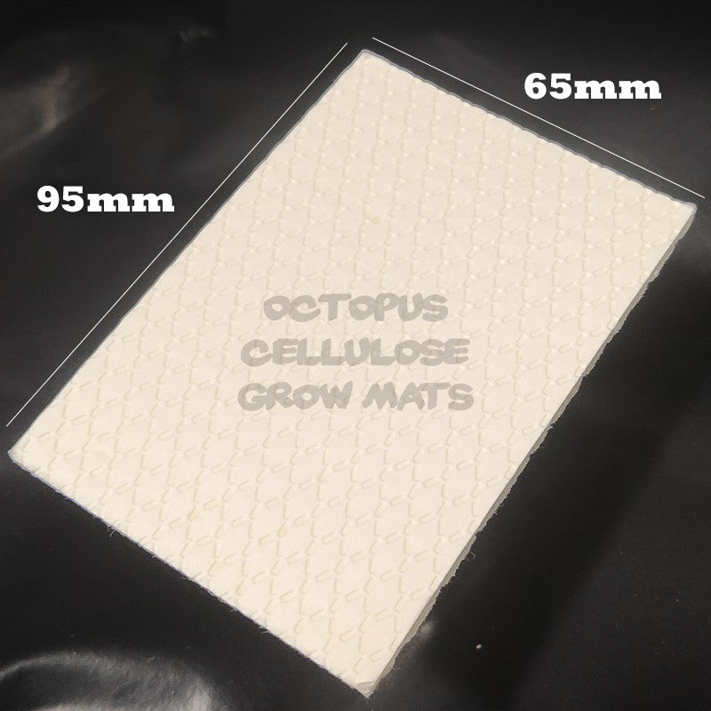 Carton de 2520 Tapis de cellulose 95x65mm