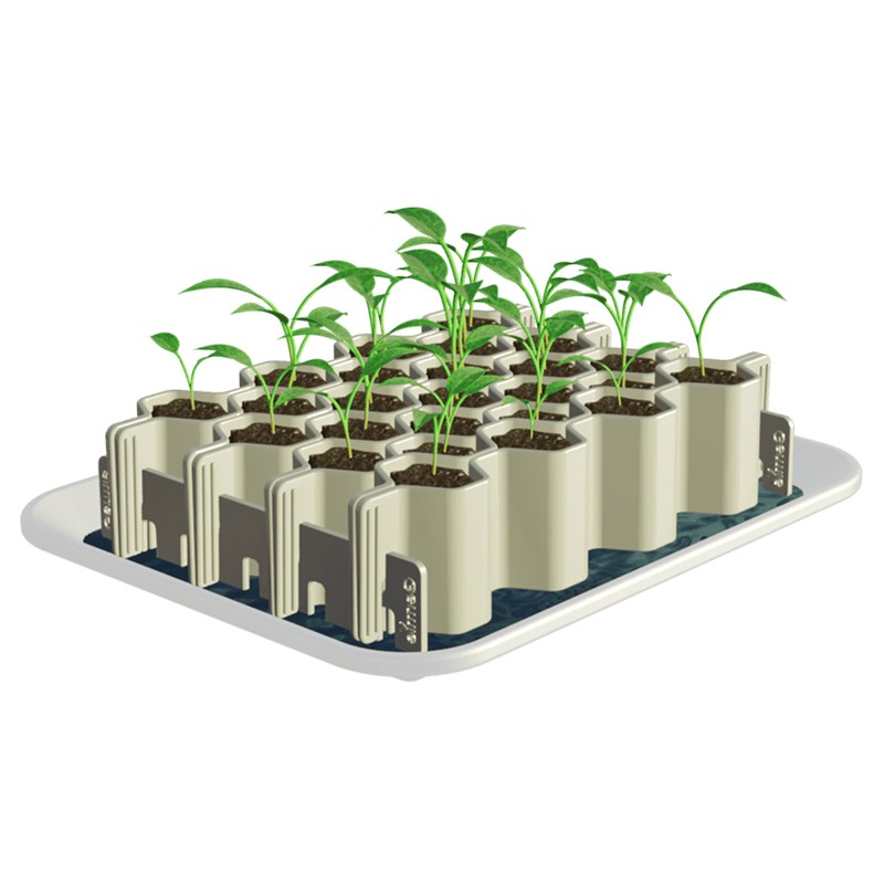 KIT PLAQUE DE GERMINATION REUTILISABLE GERMIE - 25 ALVEOLES