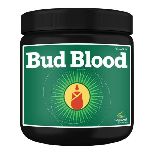 Bud Blood 40Gr
