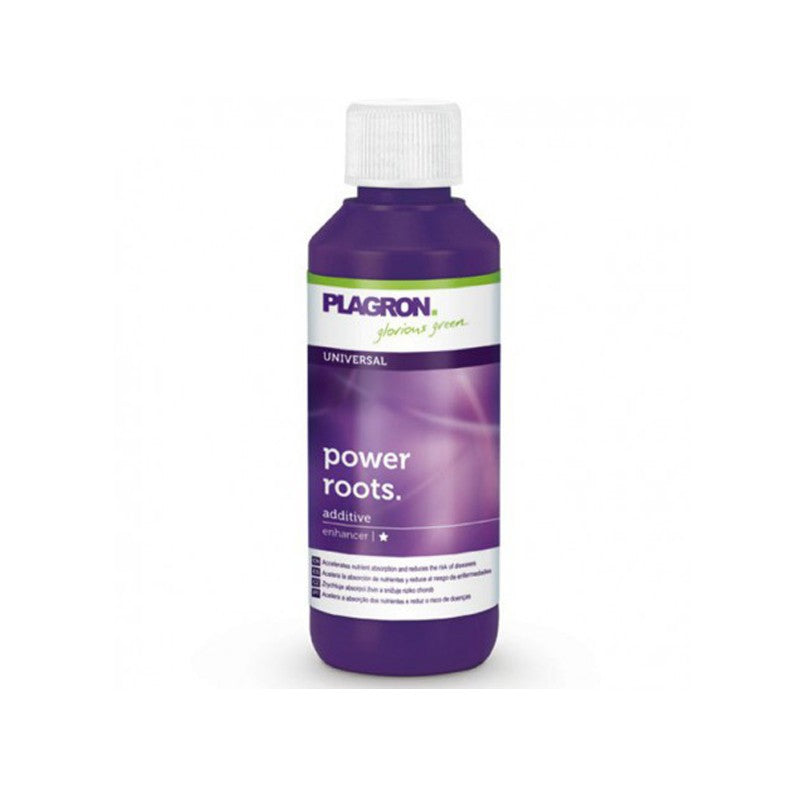 PLAGRON POWER ROOTS 100ML