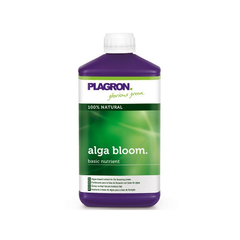 plagron alga bloom