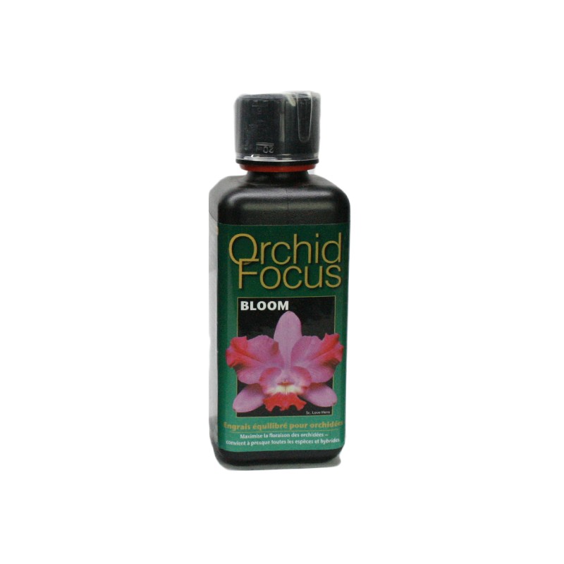 orchid focus bloom 300