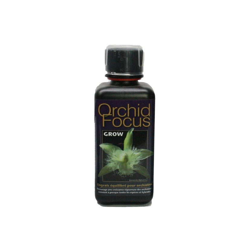 orchid focus grow 300