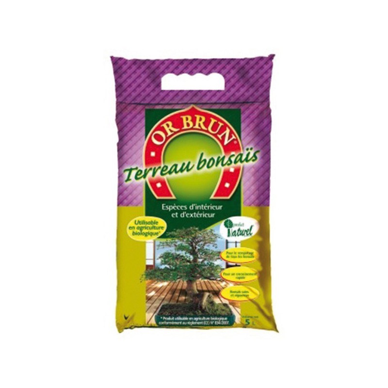 or brun terreau bonzai
