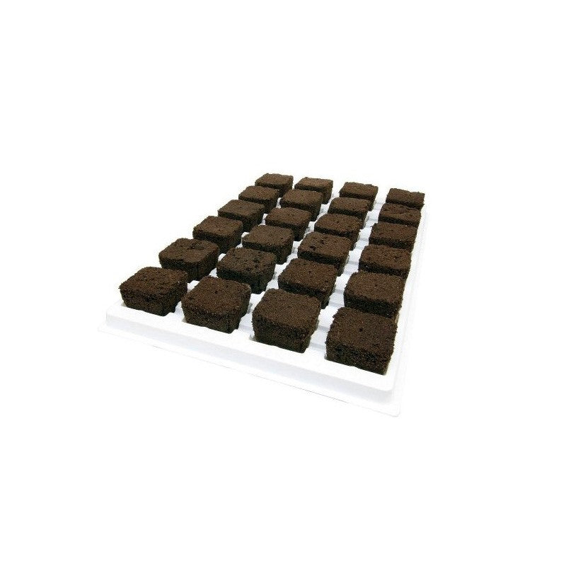 plaque de 24 cubes d'enracinement
