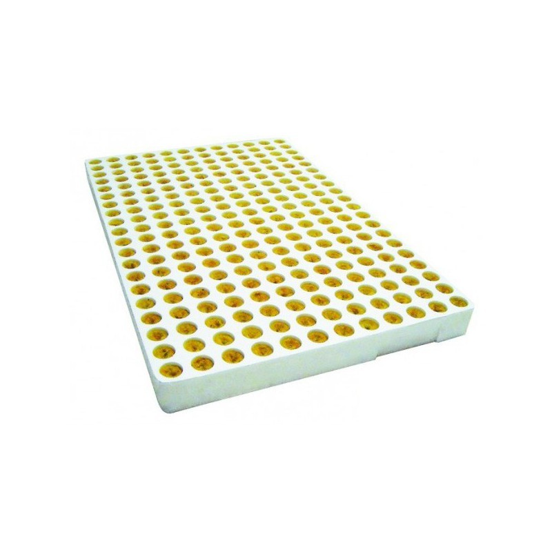 grodan plateau de 240 bouchons d'enracinement