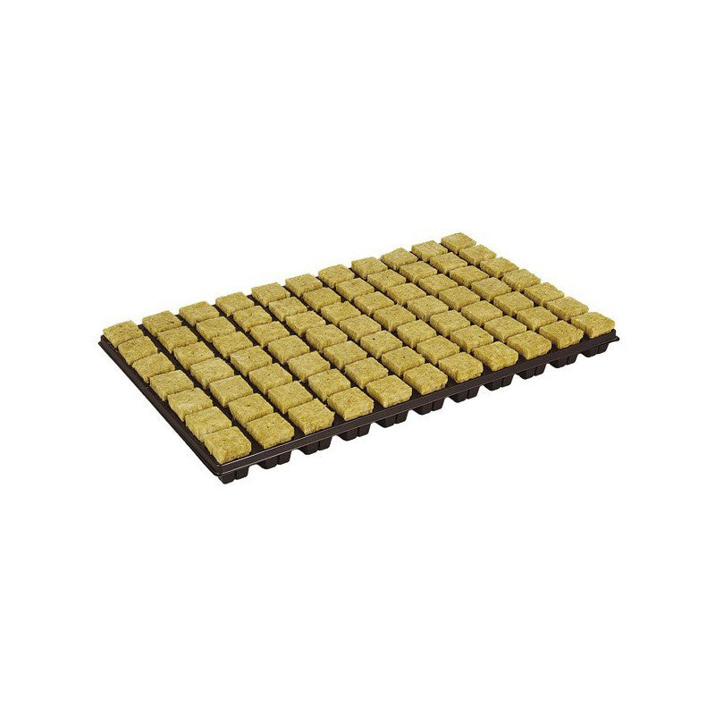 plateau de cubes de laine de roche x77