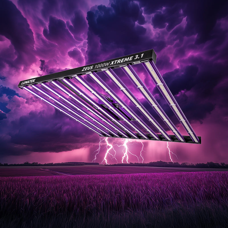 LUMATEK LED ZEUS 1000W PRO XTREM 3.1