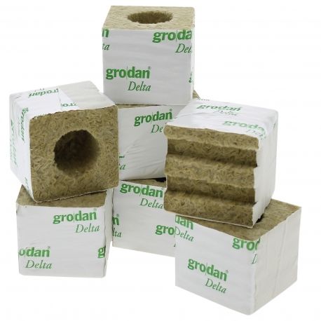 GRODAN CARTON DE 384 CUBES LDR 75X75X65 TROUS 40/35 MM