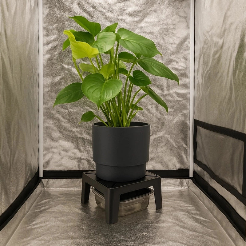 SUPPORT DE DRAINAGE DRAINMASTER + BAC DE RECUPERATION