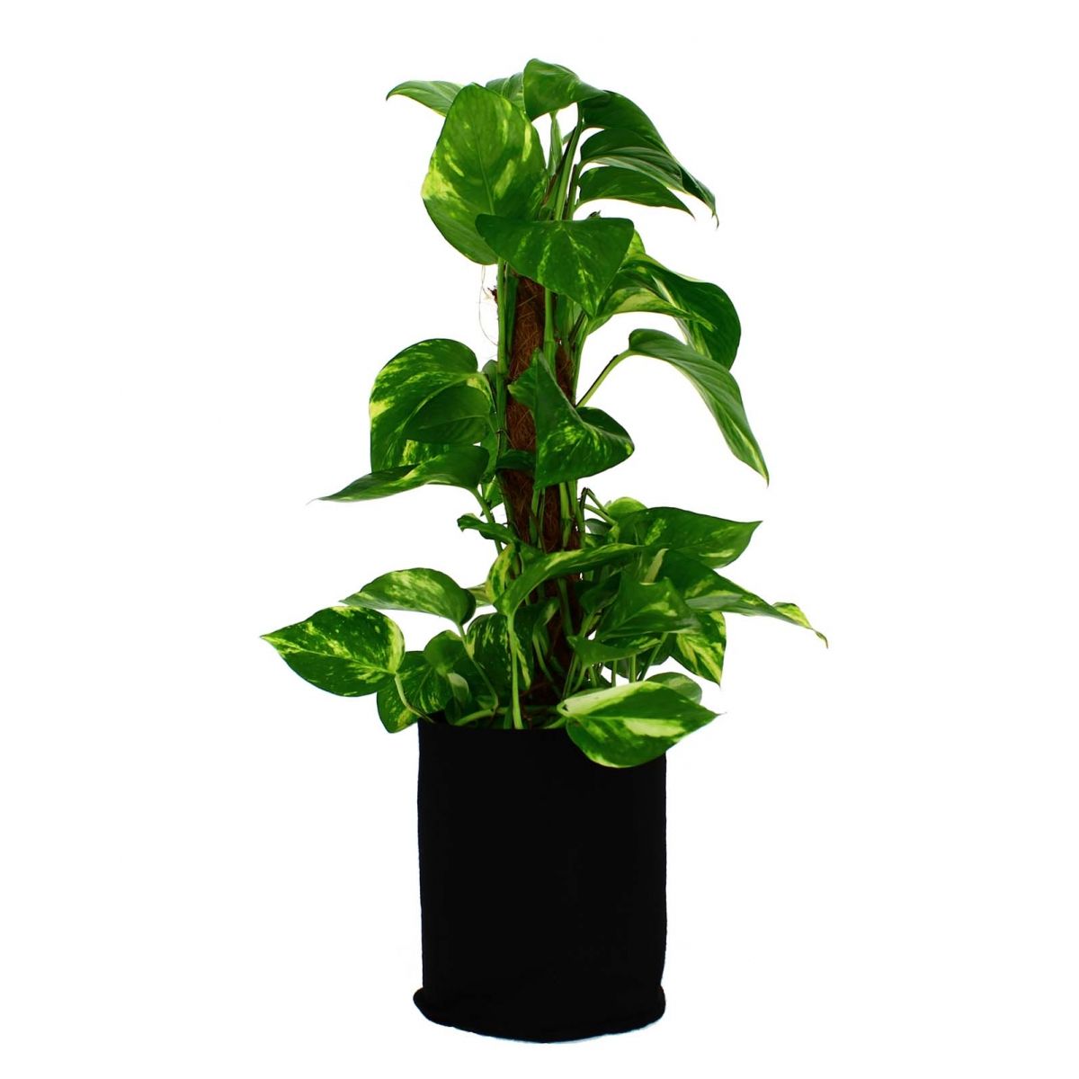 POT GEOTEXTILE 7L GREENCUBE