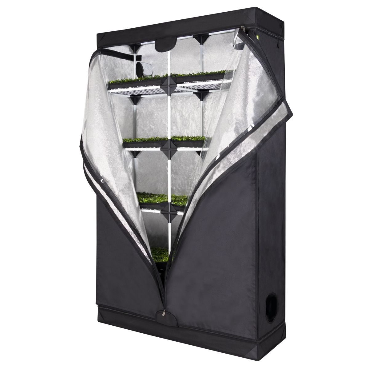 KIT MICRO-POUSSES XL BOX + ECLAIRAGE 10x10w & PROGRAMMATEUR