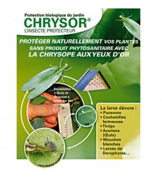 PACK POSTE  CHRYSOPES TRAITEMENT ANTI ARAIGNEES ROUGES, PUCERONS, THRIPS
