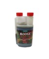 CANNA BOOST ACCELERATOR 500ML