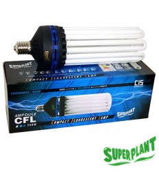 AMPOULE CFL SUPERPLANT V2 250W CROISSANCE