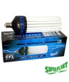 AMPOULE CFL SUPERPLANT V2 300W CROISSANCE