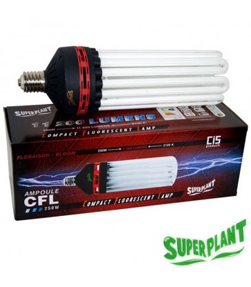 AMPOULE CFL SUPERPLANT V2 250W FLORAISON