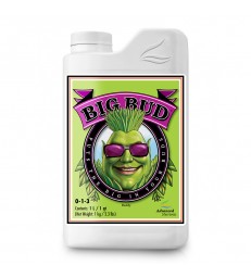 Big Bud Liquid 1L ADVANCED NUTRIENTS