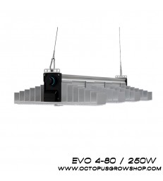 PANNEAU LED SANLIGHT EVO 4-80 250w