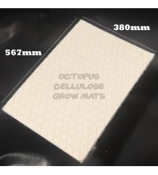 Tapis de culture en cellulose pour micropousses - Octopus grow mats 567x380mm