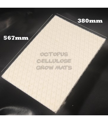 Tapis de culture en cellulose pour micropousses - Octopus grow mats 45x68mm
