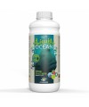 LIQUID OCEAN 1L