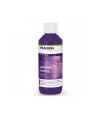 PLAGRON POWER ROOTS 100ML