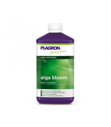plagron alga bloom