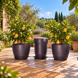 Système d'irrigation KLORIS couleur Prune - AUTOPOT