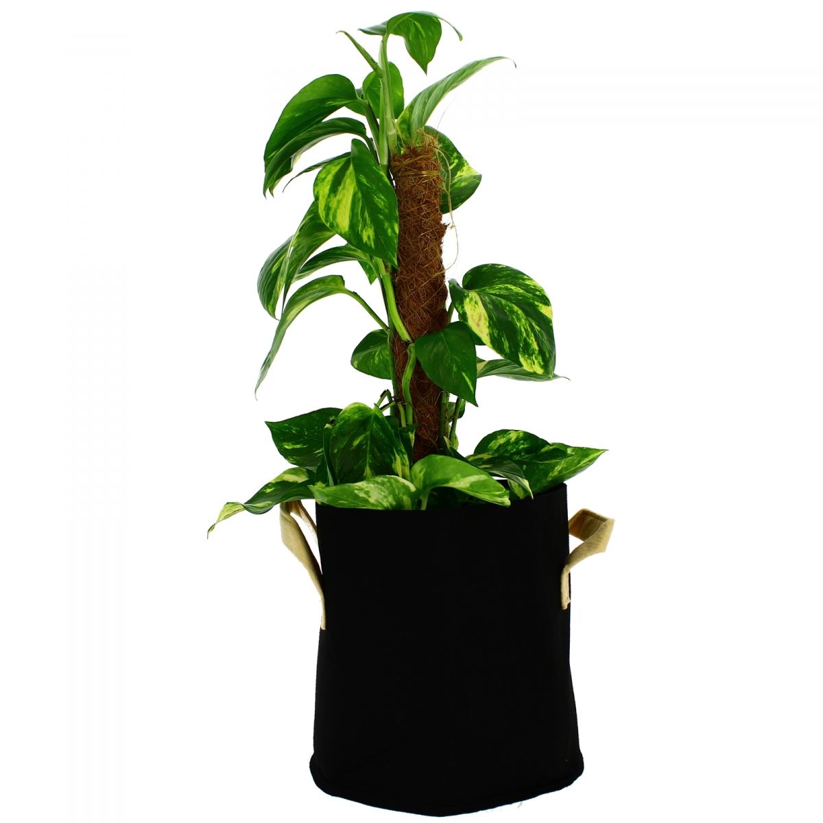 POT GEOTEXTILE 11L GREENCUBE
